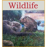wildlife-graphic-2022