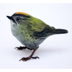 goldcrest_ceramic_