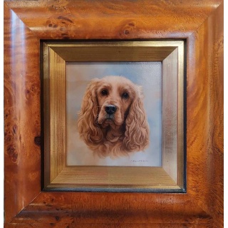 cocker_spaniel