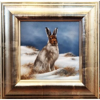 mountain_hare