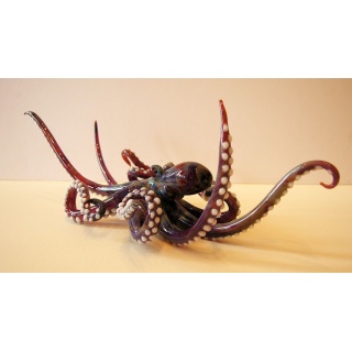 octopus-ph1