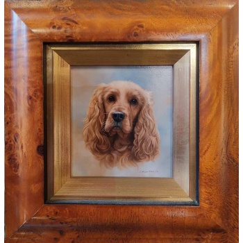 cocker_spaniel