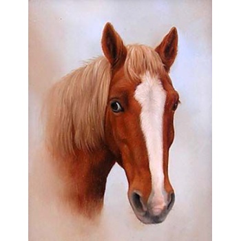 horse_head_carl_whitfield_zoom