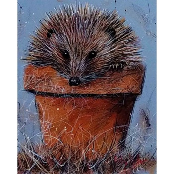 ruby_keller_hedgehog_plantpot_zoom