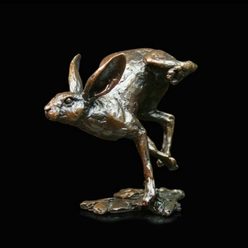 small_hare_running