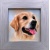 carl-whitfield_labrador