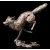 fox_leaping