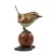 wren_on_apple